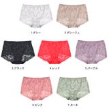 総レース ショーツ セクシーランジェリー | terracotta | 詳細画像2 