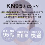 KN95 マスク 不織布 | terracotta | 詳細画像3 