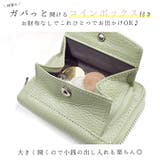小銭入れ付き カードケース じゃばら型 | terracotta | 詳細画像6 