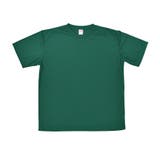 7.アイビーグリーン | Tシャツ レディース 夏 | terracotta