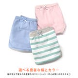 サニタリーショーツ レディース ショーツ | terracotta | 詳細画像6