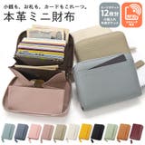 カードケース じゃばら 小銭入れ | terracotta | 詳細画像1 