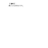 フラワー総レースサイハイウエストマークロングドレス セクシードレス 袖なし | Tika | 詳細画像17 