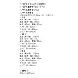 モノトーンシアーベルスリーブパイピングタイトミディアムドレス 韓国ドレス | Tika | 詳細画像16