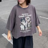 チャコール | アニマルビッグTシャツ | non-hedge