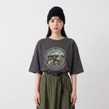 マウンテンBIGTシャツ | non-hedge | 詳細画像4