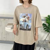 ベージュ | カードッグビッグTシャツ | non-hedge