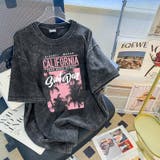 リゾート グラフィック ピグメント | DEVICE | 詳細画像12 