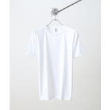 ホワイト | BEES BEAM ファンクショナルドライTシャツ | TRUSS