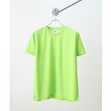 ライム | BEES BEAM ファイバードライTシャツ | TRUSS