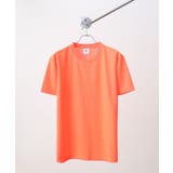 蛍光オレンジ | BEES BEAM ファイバードライTシャツ | TRUSS