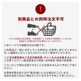 IFME イフミー 上履き 上靴 スペアインソール付き SC-0003 | つるや | 詳細画像2