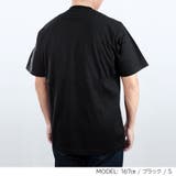 バーバリー BURBERRY Tシャル | U-STREAM | 詳細画像5