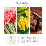 カルトゥージア Carthusia ディフューザー | U-STREAM | 詳細画像4