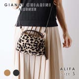 ジャンニキアリーニ GIANNI CHIARINI | U-STREAM | 詳細画像1 