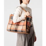 ジャンニキアリーニ GIANNI CHIARINI | U-STREAM | 詳細画像3 