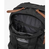 グレゴリー GREGORY リュック | U-STREAM | 詳細画像12