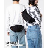 グレゴリー GREGORY パデッドショルダーポーチM | U-STREAM | 詳細画像1