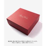ロジェ ヴィヴィエ ROGER | U-STREAM | 詳細画像14 
