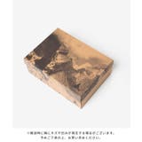 ロア ROA LOLE10 | U-STREAM | 詳細画像12