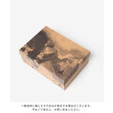ロア ROA NFA10 | U-STREAM | 詳細画像15