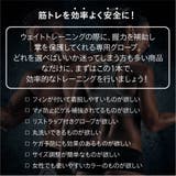 シーク Schiekトレーニング グローブ | U-STREAM | 詳細画像4