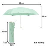 チャンピオン 婦人 耐風 無地 ステッチ 3段ミニ折傘 | アンビープラス | 詳細画像8