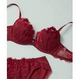 レッド | 【ベロアのレースが特別感を演出】ワイヤーブラ BUN206 | une nana cool