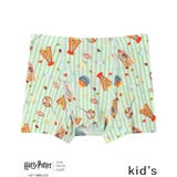 ミント | 【ハリー・ポッターコラボ】キッズ 男児ボトム（ボクサーパンツ） JS2057 | une nana cool