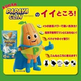 パパイヤクリン | UYEKI(ウエキ) | 詳細画像4 