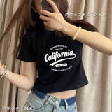 BLK | 【トレンド】Y2Kファッション ロゴクロップドTシャツ レディース | VICTORIA