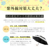 晴雨兼用トランスフォーム傘（耐風傘） | Vita Felice | 詳細画像15 