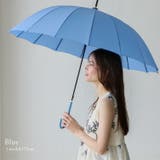 ブルー | 16本骨ジャンプ式長傘 | Vita Felice