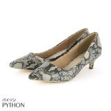 パイソン | シンプルプレーンローヒールポインテッドトゥパンプス | VIVIAN COLLECTION