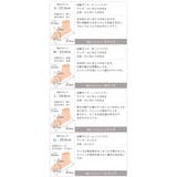 スクエアトゥレースアップストレッチ袴ブーツ | VIVIAN COLLECTION | 詳細画像21