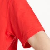 レタリングワンポイントTシャツ BR18SM05-L041 | WEGO【WOMEN】 | 詳細画像9 