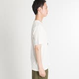 USAベアープリントTシャツ BR18SM05-M036 | WEGO【MEN】 | 詳細画像2 
