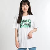 ボタニカルフォトプリントTシャツ BR18SM07-L019 | WEGO【WOMEN】 | 詳細画像12 