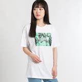 ボタニカルフォトプリントTシャツ BR18SM07-L019 | WEGO【WOMEN】 | 詳細画像13 