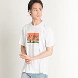ALIVEカモフラBOXロゴTシャツ BR18SM06-M032 | WEGO【MEN】 | 詳細画像14 