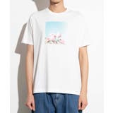 バラフォトTシャツ WE20SS02-M1063 | WEGO【WOMEN】 | 詳細画像13