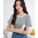 ホワイトボーダー | コンパクトリブT | WEGO【WOMEN】