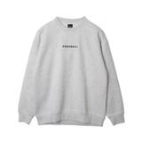 114 | アーチバックロゴグラフィックプルオーバー | WEGO【MEN】