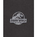 JURASSIC PARKグラフィックT(S) | WEGO【MEN】 | 詳細画像41