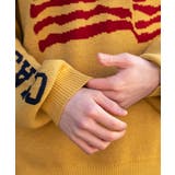 スリーブロゴニットプルオーバー | WEGO【MEN】 | 詳細画像5