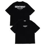 アソートグラフィックBIG T(SS) | WEGO【MEN】 | 詳細画像57 