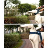 ドッグ ハーネス 中型犬 | CLARAH【WOMEN】 | 詳細画像7 