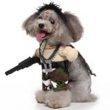 犬服 ドッグ コスプレ | CLARAH【WOMEN】 | 詳細画像5 