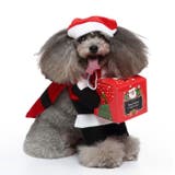 犬服 ドッグウェア クリスマス | CLARAH【WOMEN】 | 詳細画像5 