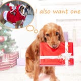犬服 ドッグウェア クリスマス | CLARAH【WOMEN】 | 詳細画像5 
